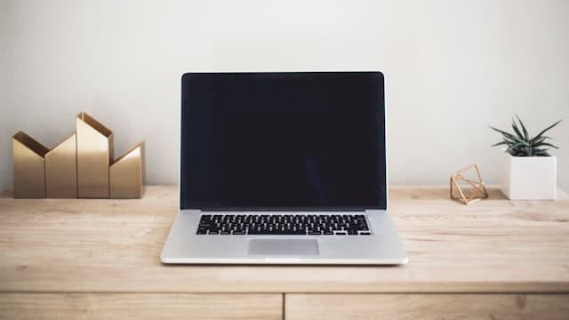 A laptop on a tidy wooden desk beside a small plant.